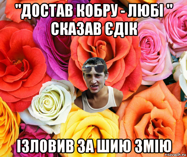 "достав кобру - любі " сказав єдік ізловив за шию змію, Мем  пацанчо