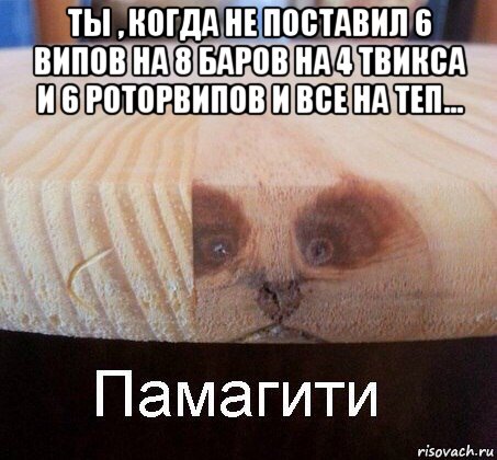 ты , когда не поставил 6 випов на 8 баров на 4 твикса и 6 роторвипов и все на теп... , Мем   Памагити