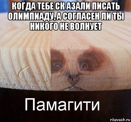 когда тебе ск азали писать олимпиаду, а согласен ли ты никого не волнует , Мем   Памагити