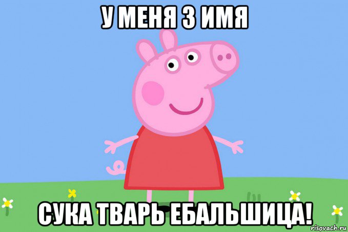 у меня 3 имя сука тварь ебальшица!, Мем Пеппа