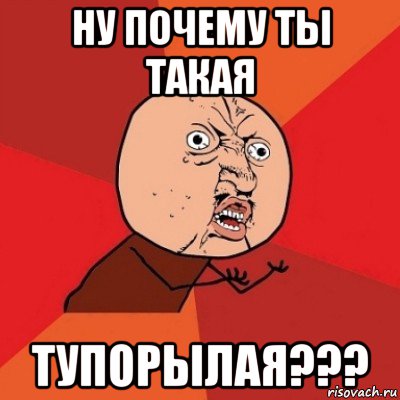 ну почему ты такая тупорылая???, Мем Почему