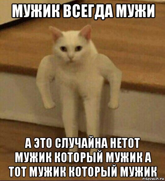 мужик всегда мужи а это случайна нетот мужик который мужик а тот мужик который мужик, Мем  Полукот