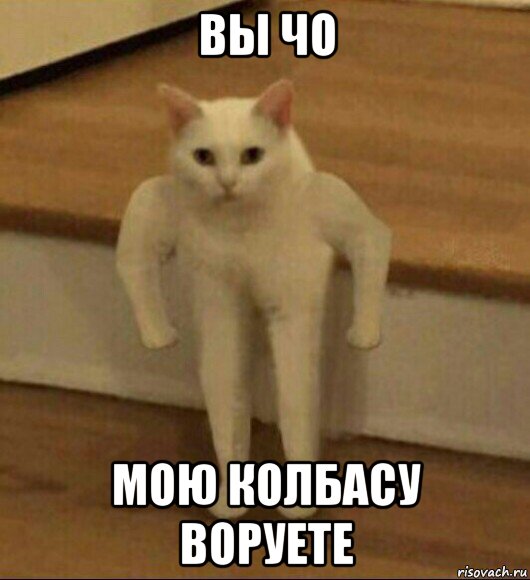 вы чо мою колбасу воруете, Мем  Полукот