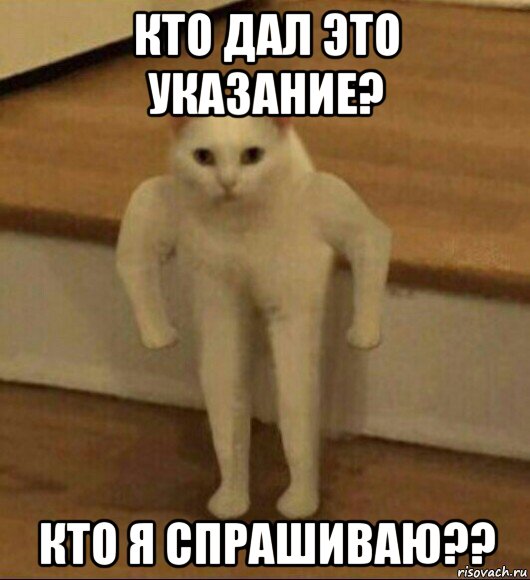 кто дал это указание? кто я спрашиваю??