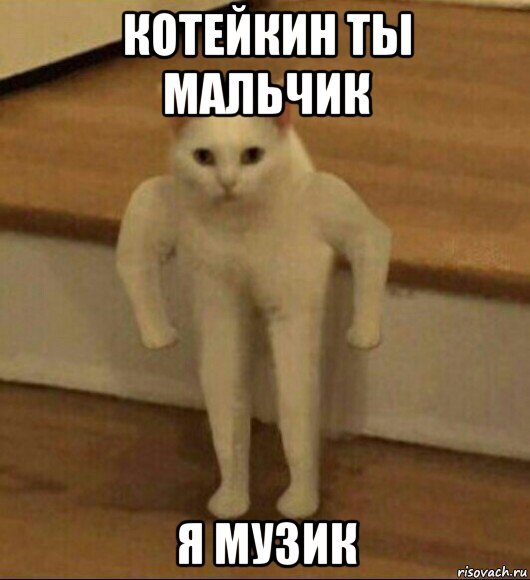 котейкин ты мальчик я музик, Мем  Полукот