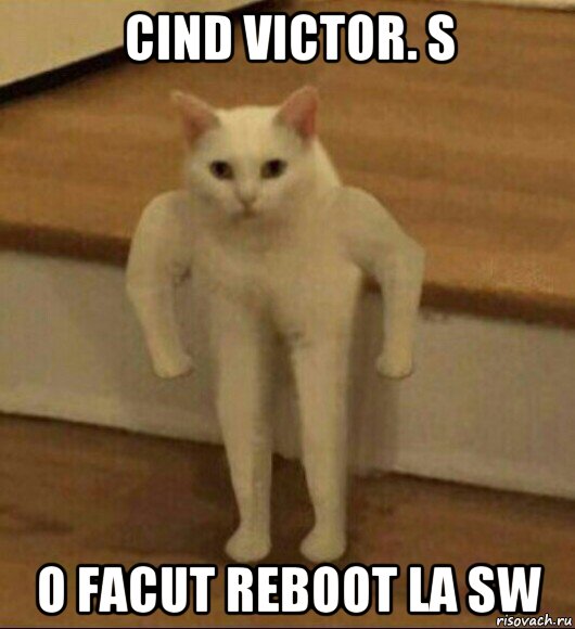 cind victor. s o facut reboot la sw, Мем  Полукот