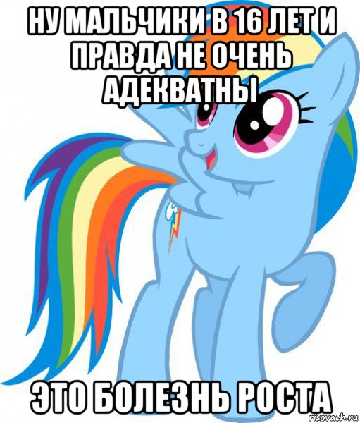 ну мальчики в 16 лет и правда не очень адекватны это болезнь роста, Мем Пони