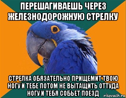 перешагиваешь через железнодорожную стрелку стрелка обязательно прищемит твою ногу и тебе потом не вытащить оттуда ногу и тебя собьет поезд, Мем Попугай параноик