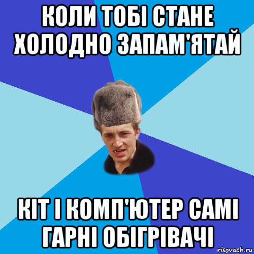 коли тобі стане холодно запам'ятай кіт і комп'ютер самі гарні обігрівачі, Мем Празднчний паца