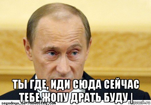  ты где, иди сюда сейчас тебе жопу драть буду |, Мем  Путин