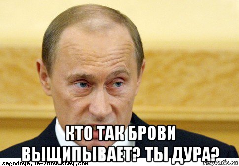  кто так брови выщипывает? ты дура?, Мем  Путин