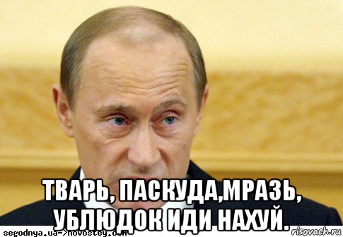  тварь, паскуда,мразь, ублюдок иди нахуй., Мем  Путин