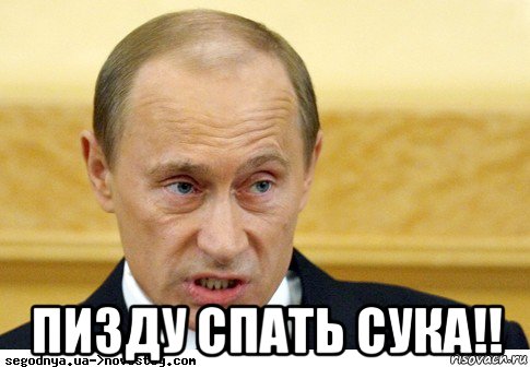  пизду спать сука!!, Мем  Путин