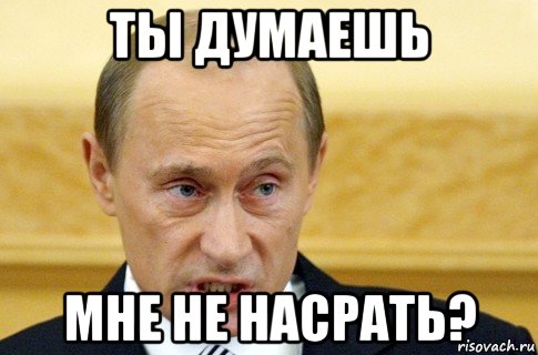 ты думаешь мне не насрать?, Мем путин