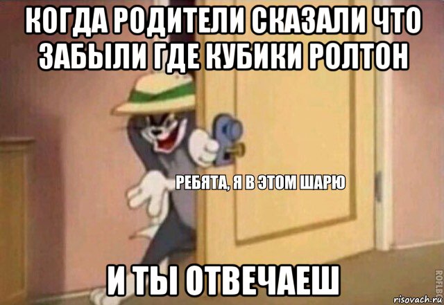 когда родители сказали что забыли где кубики ролтон и ты отвечаеш, Мем    Ребята я в этом шарю