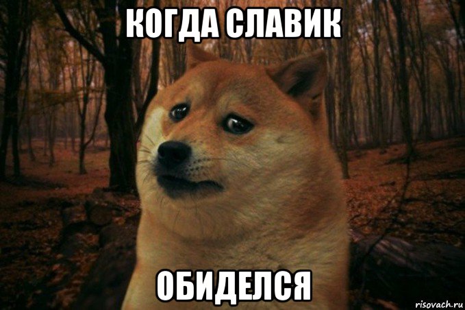 когда славик обиделся, Мем SAD DOGE