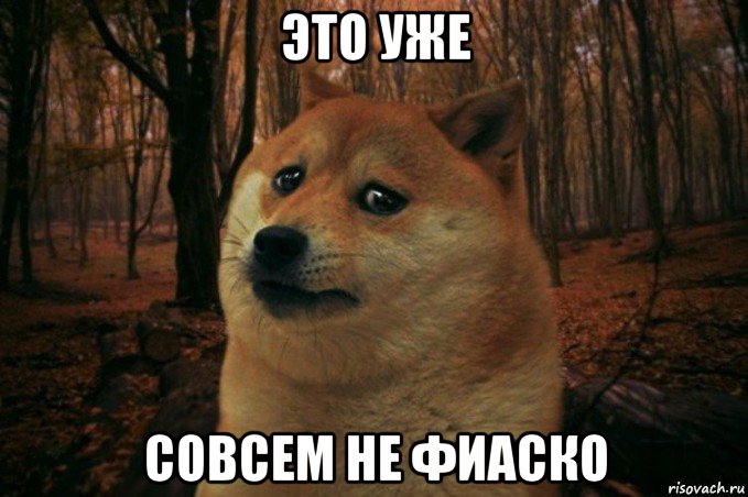 это уже совсем не фиаско, Мем SAD DOGE