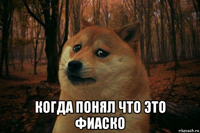  когда понял что это фиаско, Мем SAD DOGE