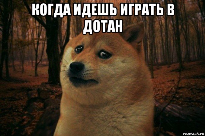 когда идешь играть в дотан , Мем SAD DOGE