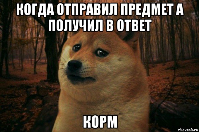 когда отправил предмет а получил в ответ корм, Мем SAD DOGE