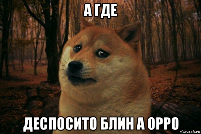 а где деспосито блин а орро, Мем SAD DOGE