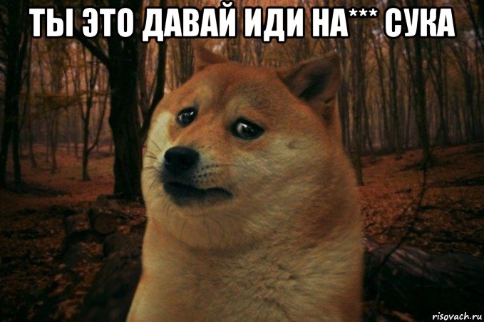 ты это давай иди на*** сука , Мем SAD DOGE