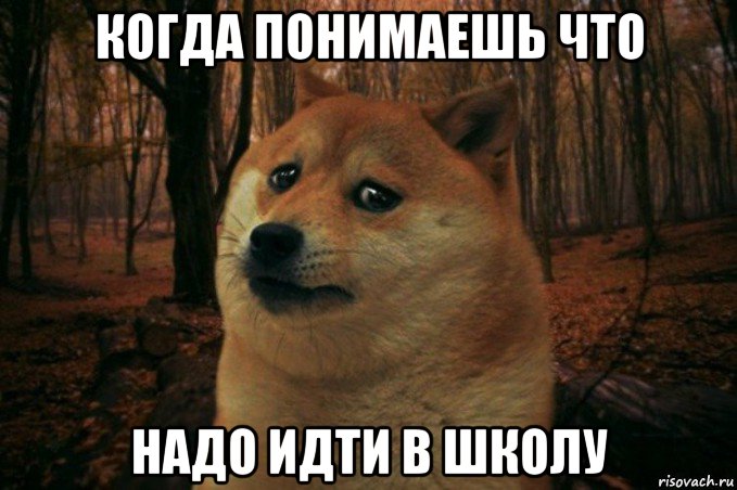 когда понимаешь что надо идти в школу, Мем SAD DOGE