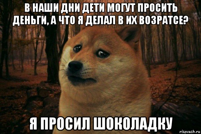 в наши дни дети могут просить деньги, а что я делал в их возратсе? я просил шоколадку, Мем SAD DOGE