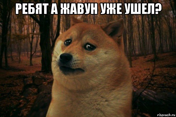 ребят а жавун уже ушел? , Мем SAD DOGE