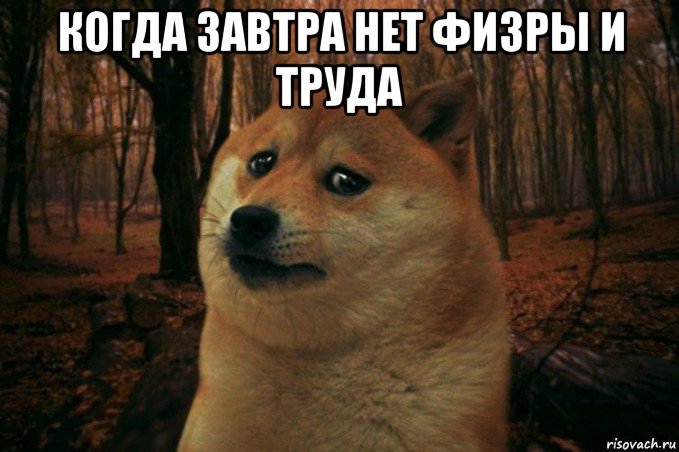 когда завтра нет физры и труда , Мем SAD DOGE