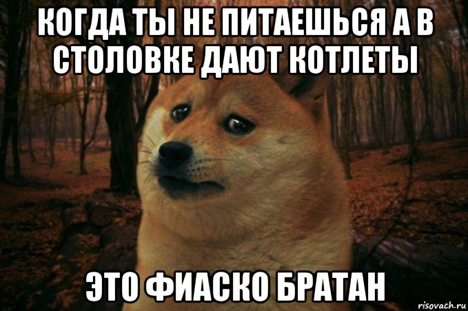 когда ты не питаешься а в столовке дают котлеты это фиаско братан, Мем SAD DOGE