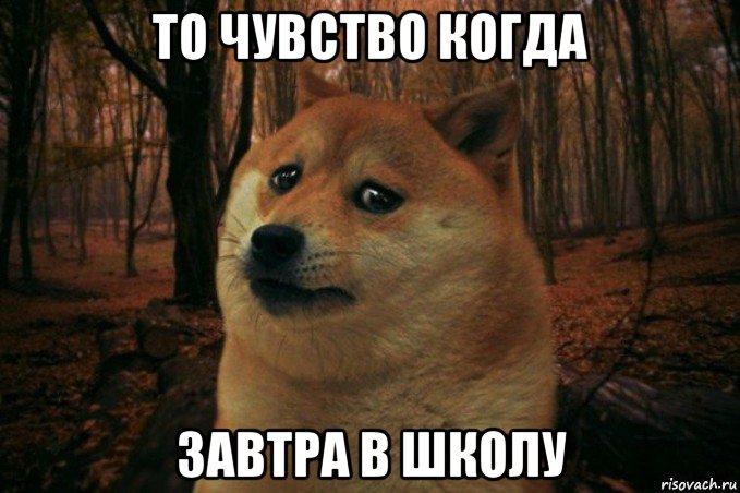 то чувство когда завтра в школу, Мем SAD DOGE