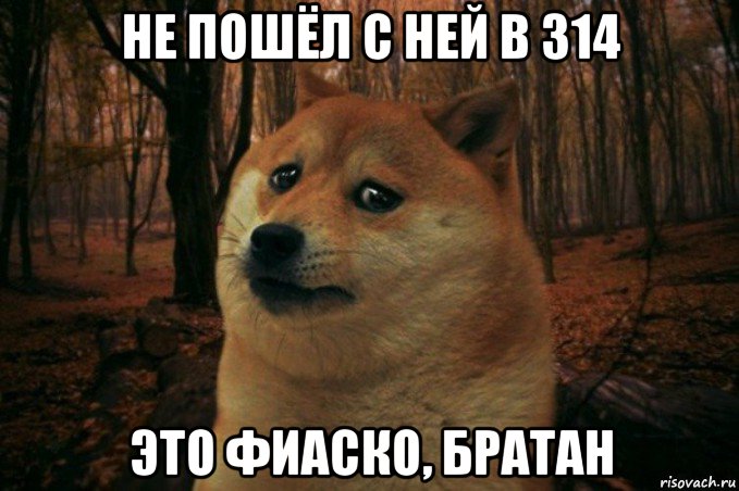 не пошёл с ней в 314 это фиаско, братан, Мем SAD DOGE