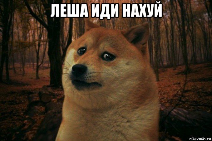 леша иди нахуй , Мем SAD DOGE