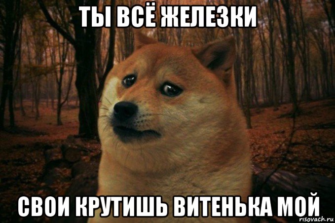 ты всё железки свои крутишь витенька мой, Мем SAD DOGE