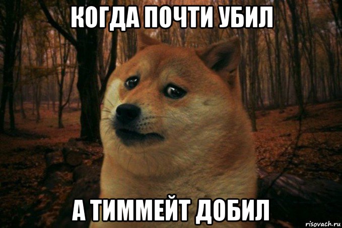 когда почти убил а тиммейт добил, Мем SAD DOGE