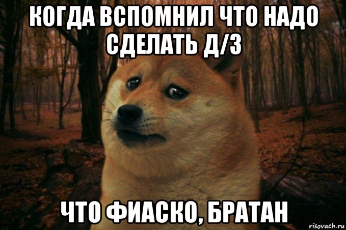 когда вспомнил что надо сделать д/з что фиаско, братан, Мем SAD DOGE