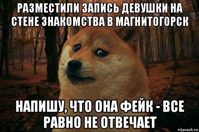 разместили запись девушки на стене знакомства в магнитогорск напишу, что она фейк - все равно не отвечает, Мем SAD DOGE