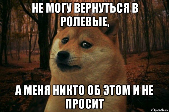 не могу вернуться в ролевые, а меня никто об этом и не просит, Мем SAD DOGE