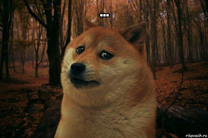 ... , Мем SAD DOGE