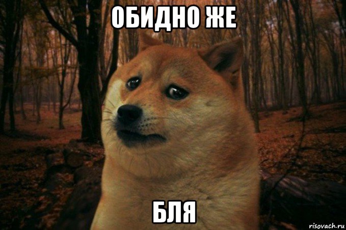 обидно же бля, Мем SAD DOGE