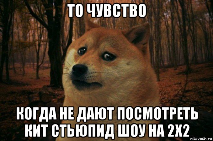 то чувство когда не дают посмотреть кит стьюпид шоу на 2x2, Мем SAD DOGE