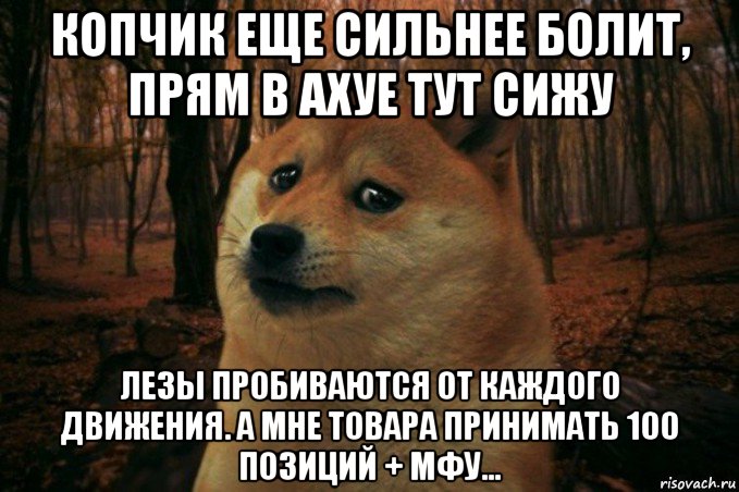 копчик еще сильнее болит, прям в ахуе тут сижу лезы пробиваются от каждого движения. а мне товара принимать 100 позиций + мфу..., Мем SAD DOGE