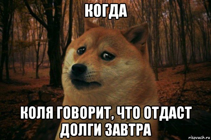 когда коля говорит, что отдаст долги завтра, Мем SAD DOGE