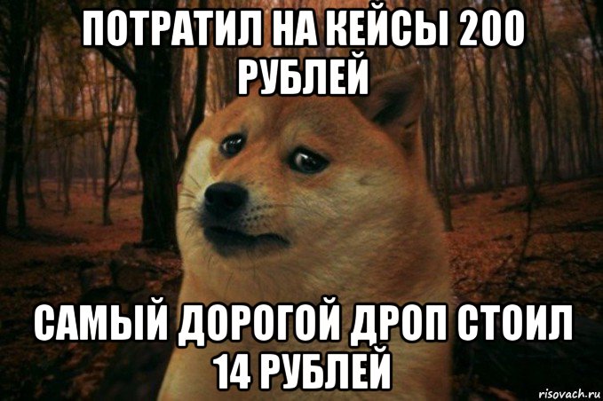 потратил на кейсы 200 рублей самый дорогой дроп стоил 14 рублей, Мем SAD DOGE