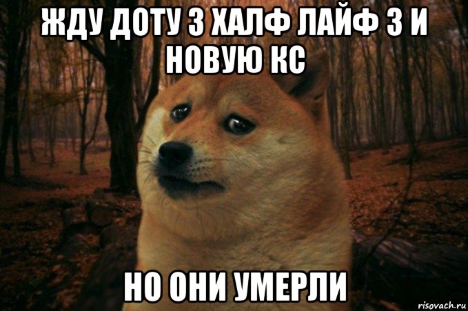 жду доту 3 халф лайф 3 и новую кс но они умерли, Мем SAD DOGE