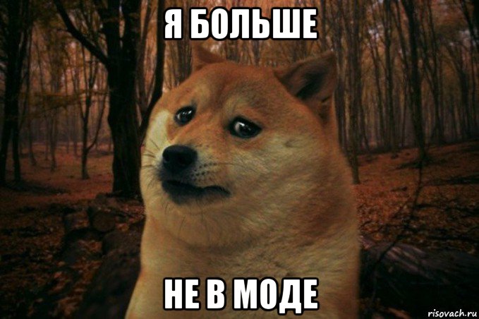 я больше не в моде, Мем SAD DOGE