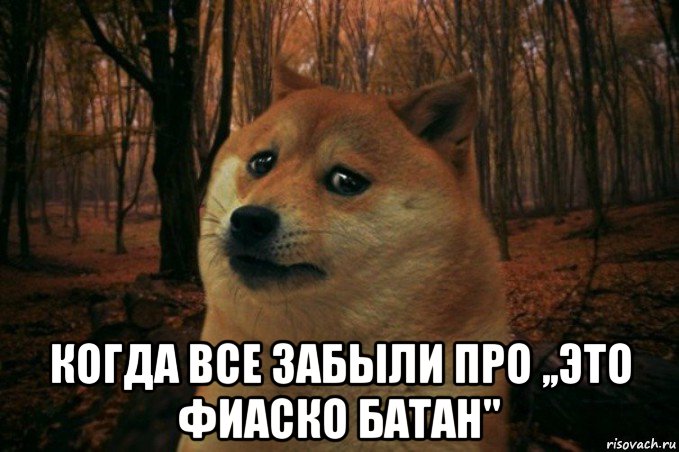  когда все забыли про ,,это фиаско батан", Мем SAD DOGE