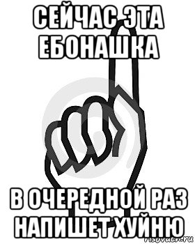 сейчас эта ебонашка в очередной раз напишет хуйню, Мем Сейчас этот пидор напишет хуйню