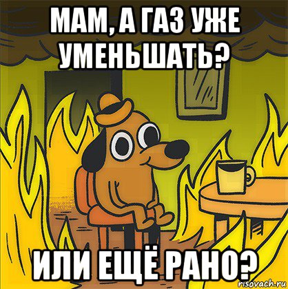 мам, а газ уже уменьшать? или ещё рано?, Мем Собака в огне